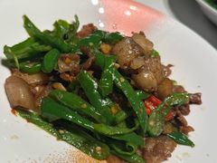-凤凰湘语(浦东旗舰店)