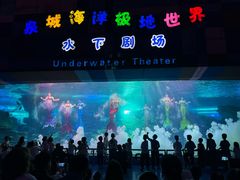 -泉城欧乐堡海洋极地世界