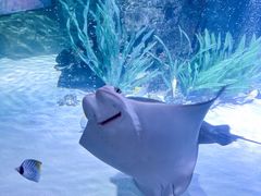 -沈阳海洋探索中心