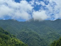 -新安江山水画廊风景区