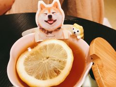 -逗柴咖啡屋·狗咖猫咖宠物桌游
