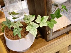 -Metal hands·铁手咖啡