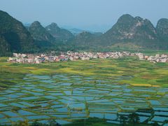 -会仙湿地