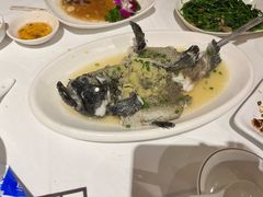 -强记海鲜·大排档(蛇口新街店)