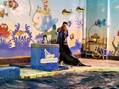 -太平洋海底世界