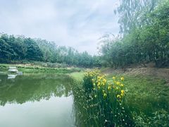 -大兴滨河森林公园