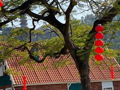 -南沙蒲洲花园