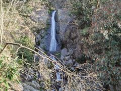 -东天目山风景区