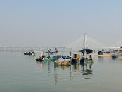 -北海金海湾红树林生态旅游区