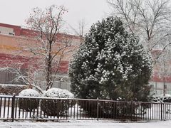 -北京市海淀外国语实验学校