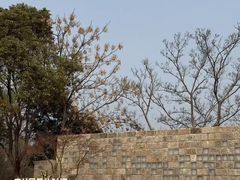 -梁鸿国家湿地公园