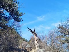 -东天目山风景区