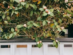 -观宴·品质赣菜(高新大道店)