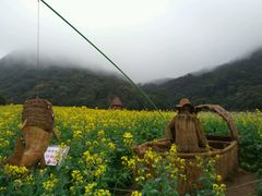 android_upload_pic-广州市石门国家森林公园
