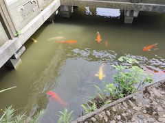 -龙游石窟