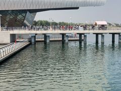 -贝林大翅鲸简餐厅(国家海洋博物馆店)