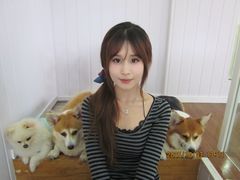 -汪说·狗咖·拼豆·宠物周边DIY(旺城大厦店)