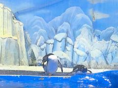 -石家庄市动物园