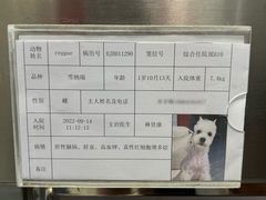 -北京派仕佳德动物医院·超导核磁·CT·神经科·骨科·内外科·急重症管理中心