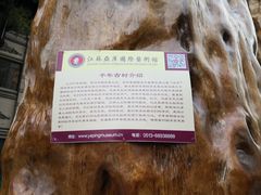 -梅林春晓花园餐厅