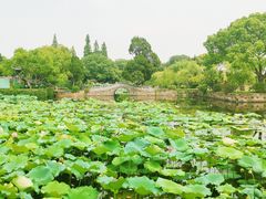 -无锡蠡湖国家湿地公园-蠡园