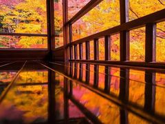 -醍醐寺