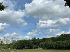 -莲花山公园