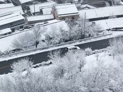 -四明山国家森林公园