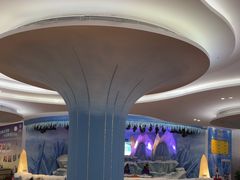 -帝企鹅自助餐厅•儿童岛•真企鹅(长隆企鹅酒店)