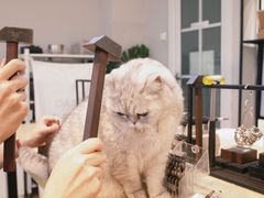 -Oasis绿洲银饰珍珠手作diy(壹方城店)