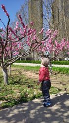 -大望京儿童游乐场