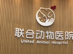 -联合动物医院(光谷诊疗中心)