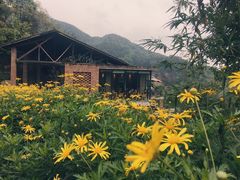 -远山有窑