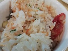 -一煲鸽