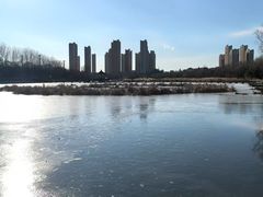 -前关湿地公园