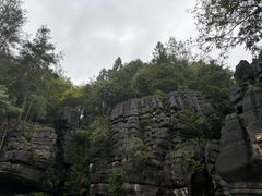 -梭布垭石林景区