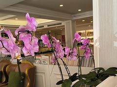 -天天渔港(杏林街店)