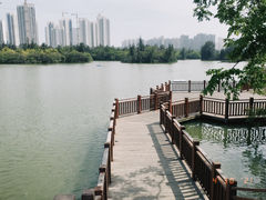 -五缘湾湿地公园