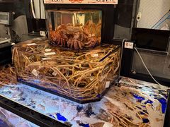 -蟹道乐(道顿堀本店)