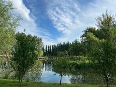 -东郊湿地公园