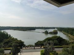 -大湾区中央湿地公园