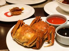 -Social 秀西餐厅-长沙瑞吉酒店(运达店)