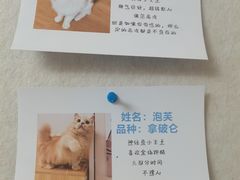 -唐小姐の私宠·宠物洗护美容·撸猫馆·购宠(周浦万达旗舰店)