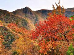 -妙峰山风景名胜区