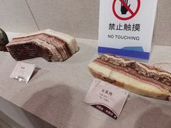 -安徽省地质博物馆