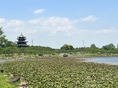 -上海海湾国家森林公园