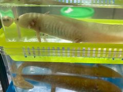 -鹏欣水游城