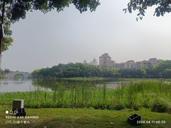 -映月湖公园
