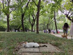 -西园戒幢律寺