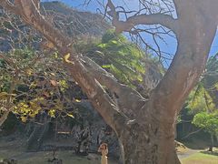 -日军最后司令部遗址